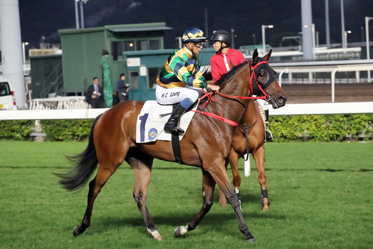 Furore running in the Lung Kong Hcp (C2)