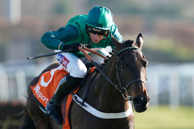 FUSIL RAFFLES winning the 888Sport Take 'Em On Adonis Juvenile Hurdle (Grade 2) at Kempton Park in Sunbury, England.