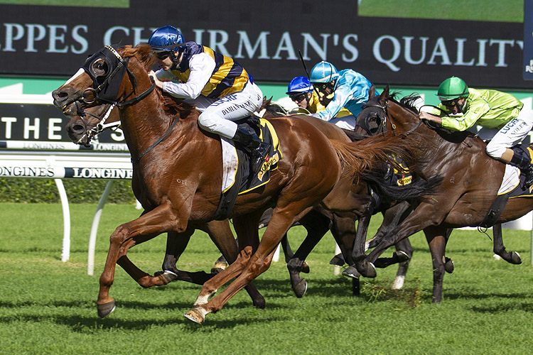 Gallic Chieftain winning the Schweppes Chairman's Quality