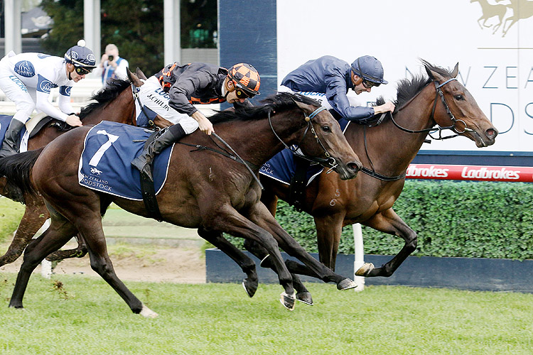 Gamay winning the N.Z. Bloodstock Ethereal Stks