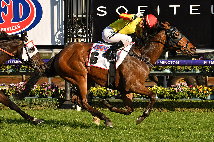 Gatting winning the Makybe Diva.