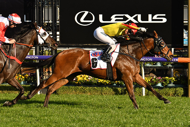 Gatting winning the Makybe Diva