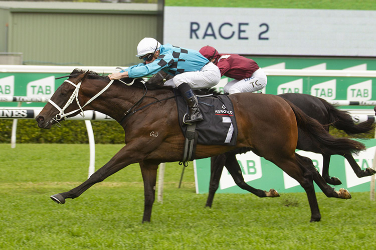 Global Quest winning the Arrowfield Breeders' Plate