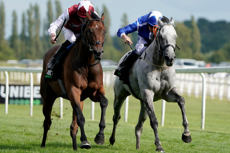 GLORIOUS JOURNEY winning the Unibet Hungerford Stakes in Newbury, England.
