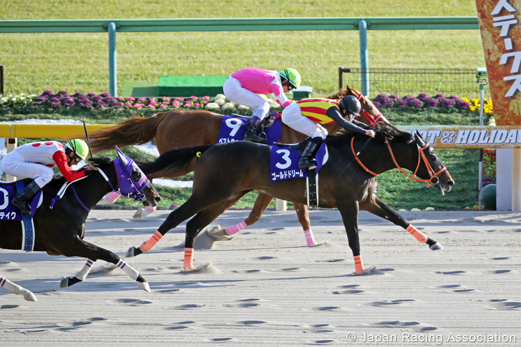 GOLD DREAM winning the February Stakes in Tokyo, Japan.