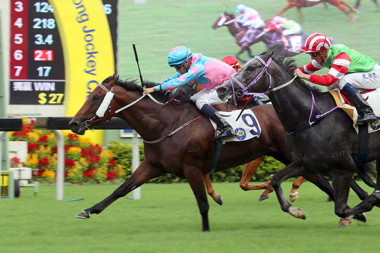 Golden Sixty winning the Pok Fu Lam Country Park (C3)