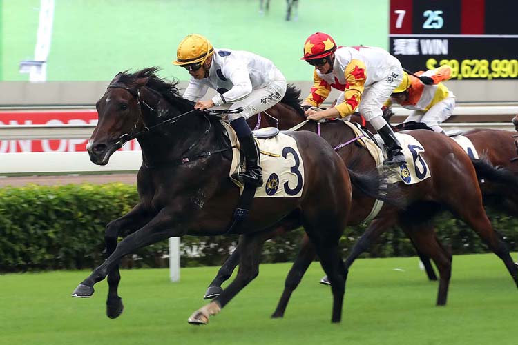 Golden Sixty is a top-rater at Sha Tin on Wednesday.