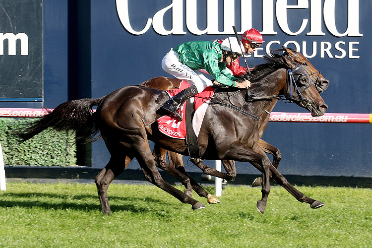 Graceful Storm wins at Caulfield at $81 fixed odds.