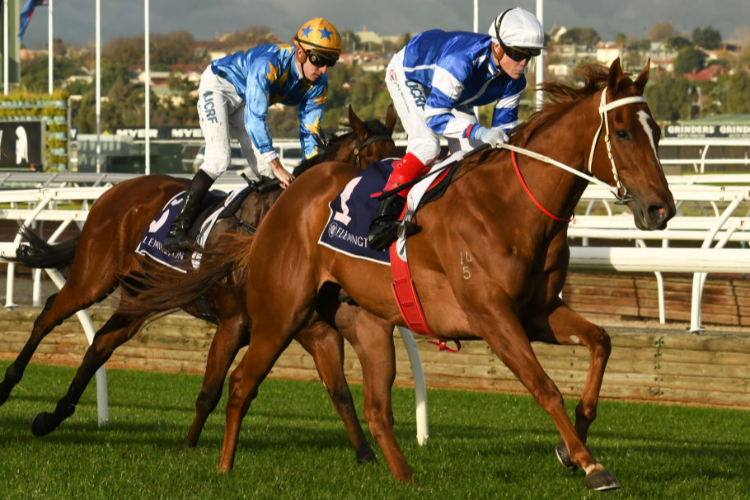 GYTRASH winning the A.R. Creswick Stakes during Melbourne Racing at Flemington in Melbourne, Australia.
