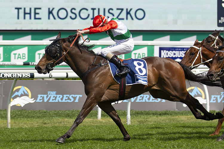 Handle The Truth winning the The Kosciuszko.