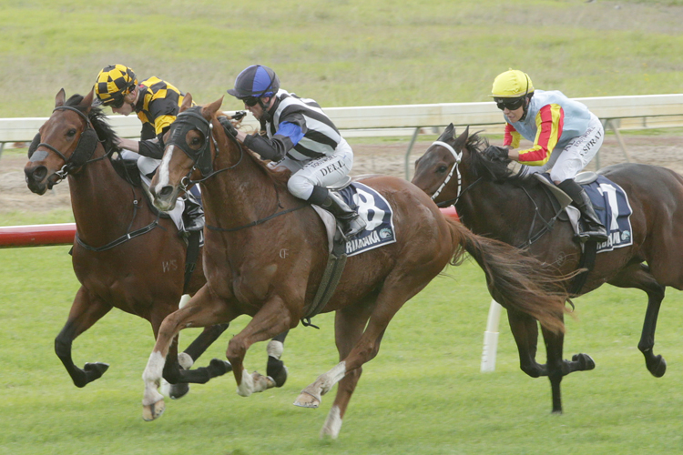 Hanger (inner) is about to claim Spider as he surges to victory at Ruakaka