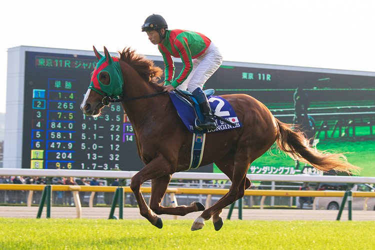 Happy Grin finishes seventh in last year's Japan Cup.