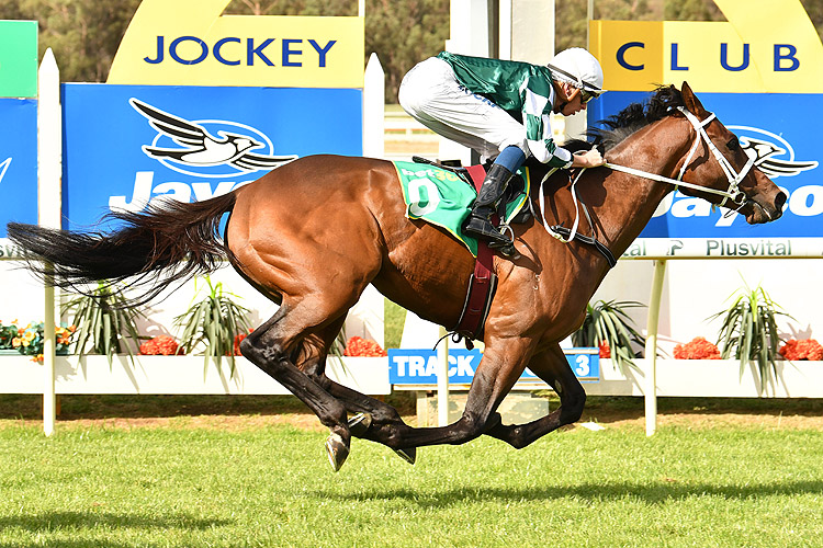 Haripour winning the Bet365 Golden Mile