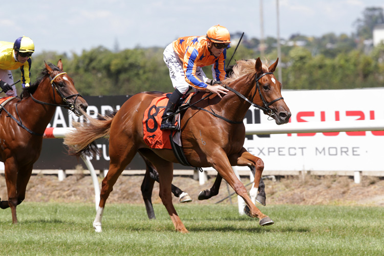 Harlow winning the Te Akau Racing 2yo Harlow winning the Te Akau Racing 2yo