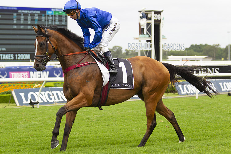Hartnell running in the Expressway Stakes Hartnell running in the Expressway Stakes