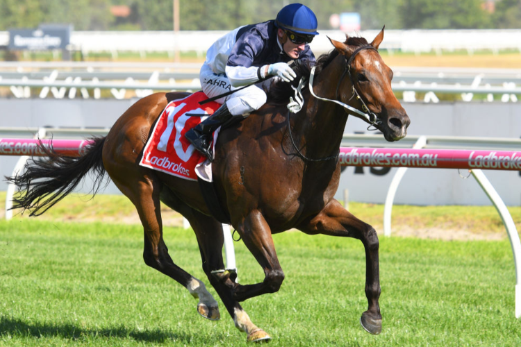 HEPTAGON winning the Mal Seccull (Bm84) during Melbourne Racing at Caulfield in Melbourne, Australia.