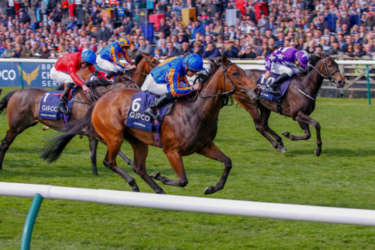 Hermosa winning the Qipco 1000 Guineas Stakes (Fillies' Group 1)