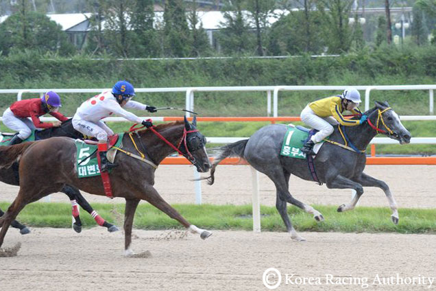 HEUNG BUJA winning the Macau Jockey Club Trophy in Seoul, Korea.