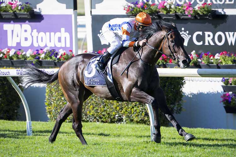 Hey Doc winning the Crown Perth-Winterbottom Stks.