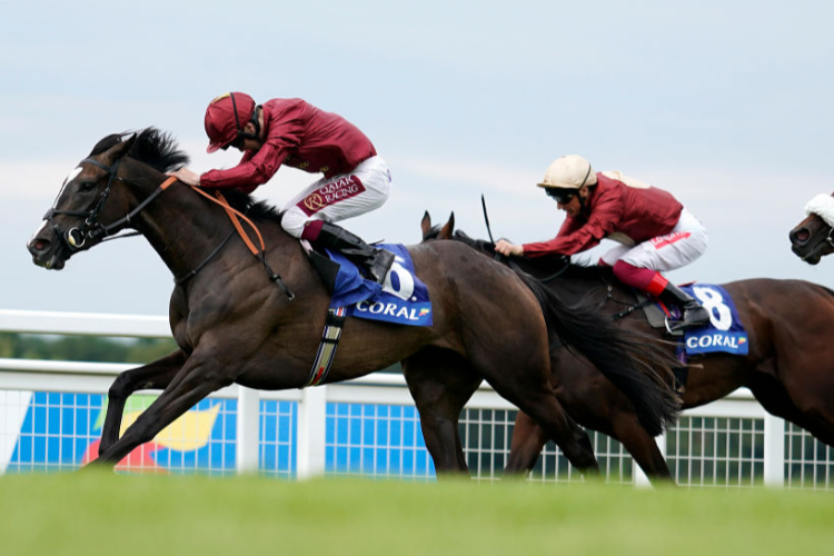 HIDDEN MASSAGE winning the Coral Distaff (Fillies' Listed) at Sandown Park in Esher, England.