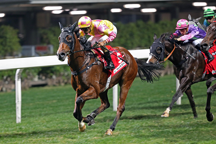Highly Proactive is a top rater at Happy Valley on Wednesday.