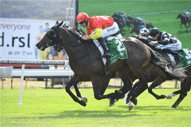 HIGHTAIL winning the Under The Southern Stars Gosford Guineas