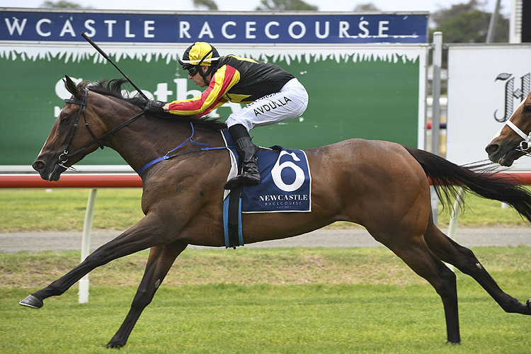 House Of Cartier winning the Australian Bloodstock (Bm88)