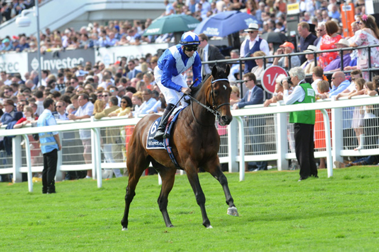 Humanitarian running in the Investec Derby Stakes (Group 1)
