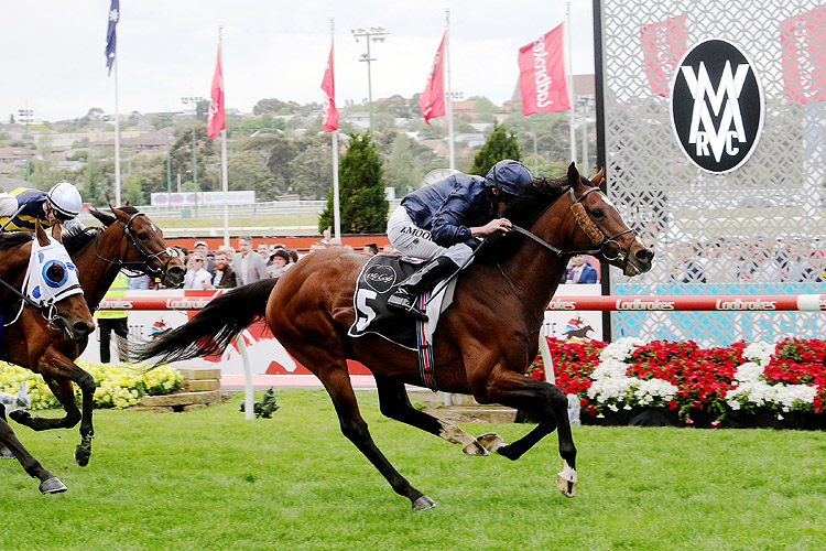 Hunting Horn winning the McCafe Moonee Valley Gold Cup