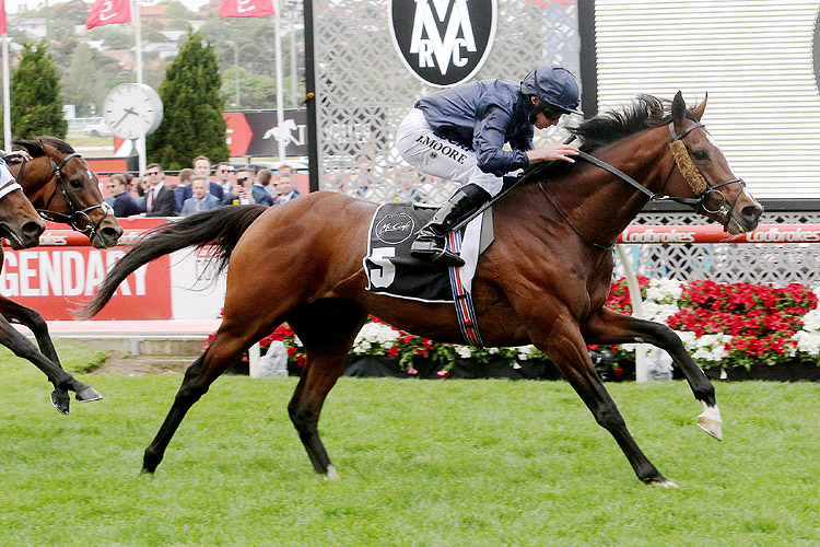 Hunting Horn winning the Moonee Valley Gold Cup