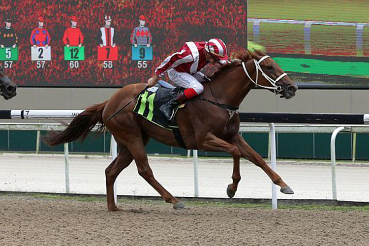 I Am Beautiful winning the RESTRICTED MAIDEN