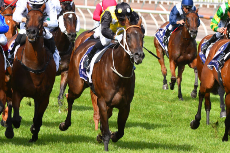 IN HER TIME winning the Black Caviar Lightning during Melbourne Racing at Flemington in Melbourne, Australia.