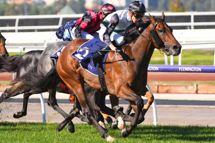 INDEPENDENT ROAD winning the H Bowman Hall Of Fame Trophy during Melbourne Racing at Flemington in Melbourne, Australia.