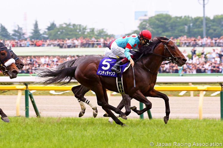 INDY CHAMP winning the Yasuda Kinen Race at Tokyo in Japan.