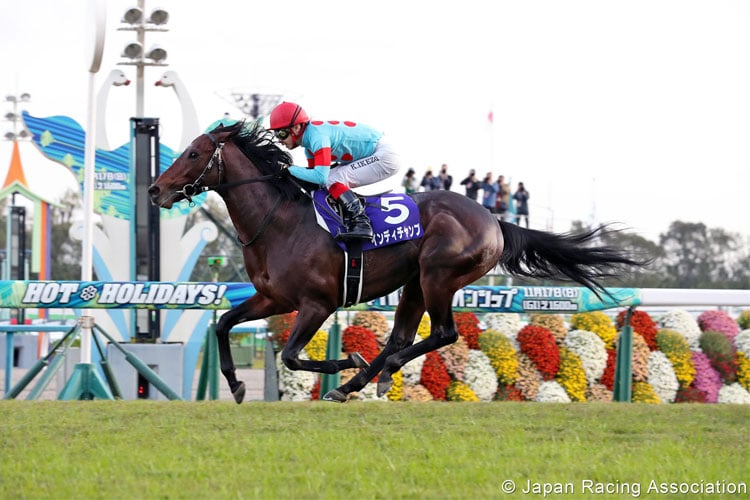 INDY CHAMP winning the Mile Championship in Kyoto, Japan.