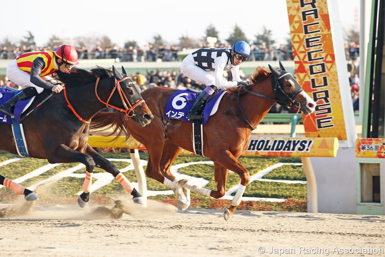 INTI winning the February Stakes in Tokyo Japan.