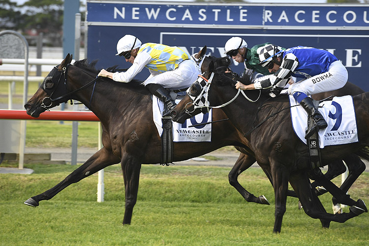 Into The Abyss winning the Prime7 (Bm88)