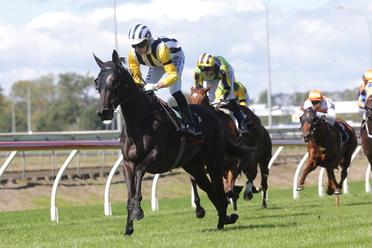 Intrigue winning the Mount Shop 3yo