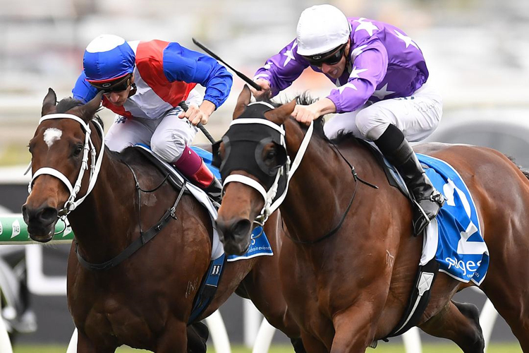 Invincibella winning the Sky Racing Tattersall's Tiara