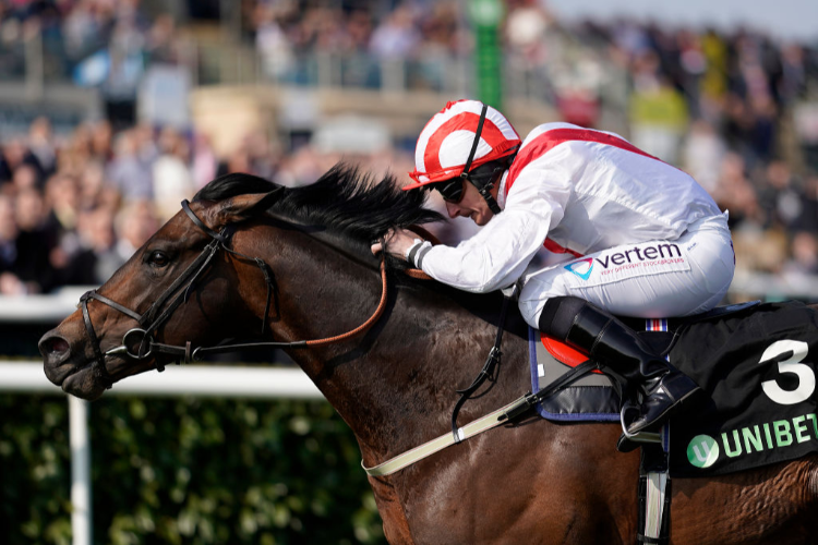 INVINCIBLE ARMY winning the Unibet Cammidge Trophy Stakes (Listed) in Doncaster, England. INVINCIBLE ARMY winning the Unibet Cammidge Trophy Stakes (Listed) in Doncaster, England.