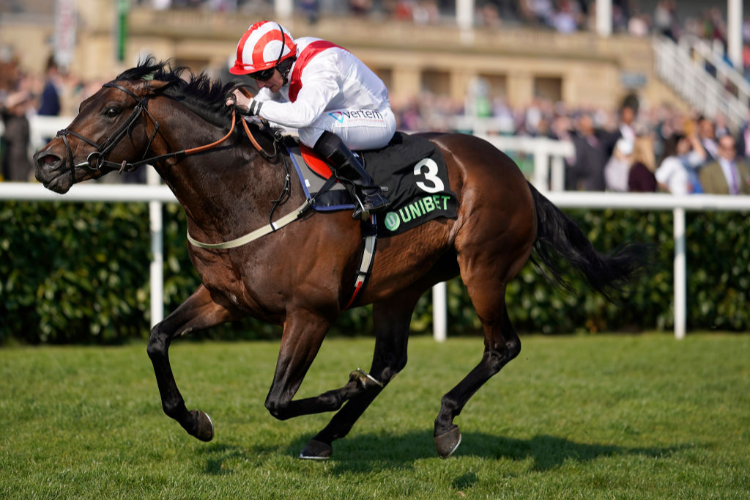 INVINCIBLE ARMY winning the Unibet Cammidge Trophy Stakes in Doncaster, England. INVINCIBLE ARMY winning the Unibet Cammidge Trophy Stakes in Doncaster, England.