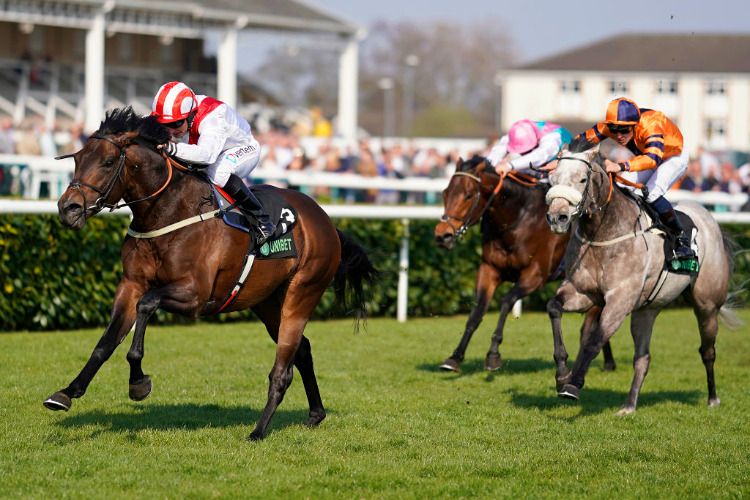 INVINCIBLE ARMY winning the Unibet Cammidge Trophy Stakes at Doncaster in Doncaster, England.