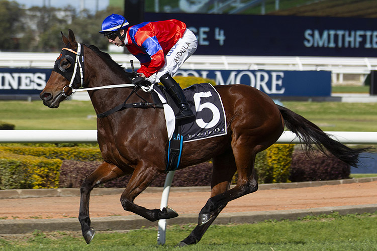 Invincible Gem running in the Smithfield Rsl Missile Stakes