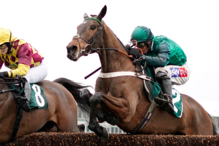 JANIKA running in the Spectra Cyber Security Solutions Trophy Handicap Chase (Grade 3) in Cheltenham, England.