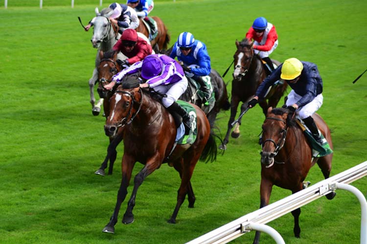 Japan winning the Juddmonte International Stakes (Group 1) (British Champions Series)