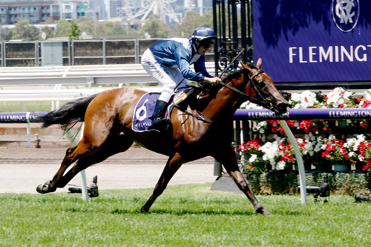 Jedastar winning the New Year Plate Jedastar winning the New Year Plate