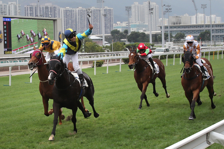 Jolly Banner winning the The Bauhinia Sprint Trophy