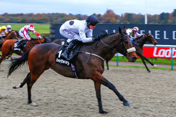 Judicial winning the Betway Golden Rose Stakes (Listed)