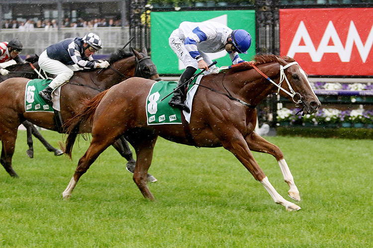 Kemalpasa winning the Tab Stakes