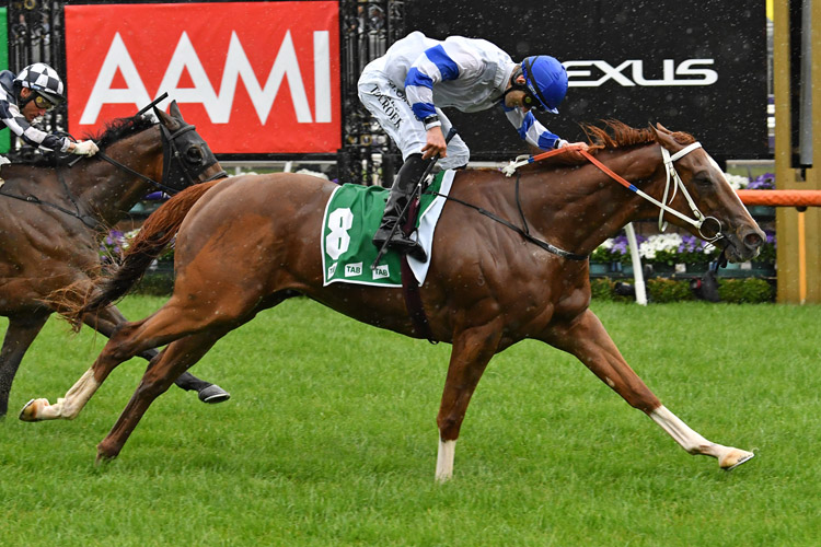 Kemalpasa winning the Tab Stakes